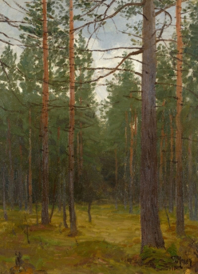 Pine forest